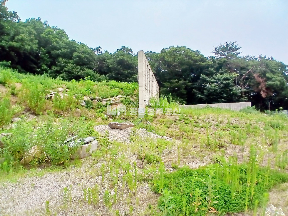 경기 고양덕양구 고양동 덕양구 전원주택 부지추천 토지매매 급매가 매매 매물번호 10150 사진 12