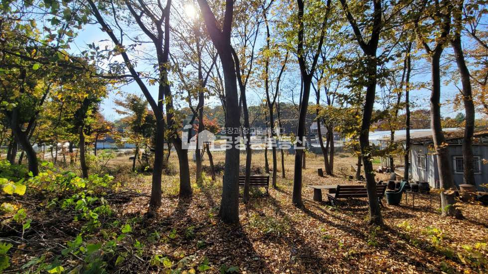 경기 파주시 하지석동 운정신도시 가까운 전원주택 부지 매매 매물번호 10198 사진 3