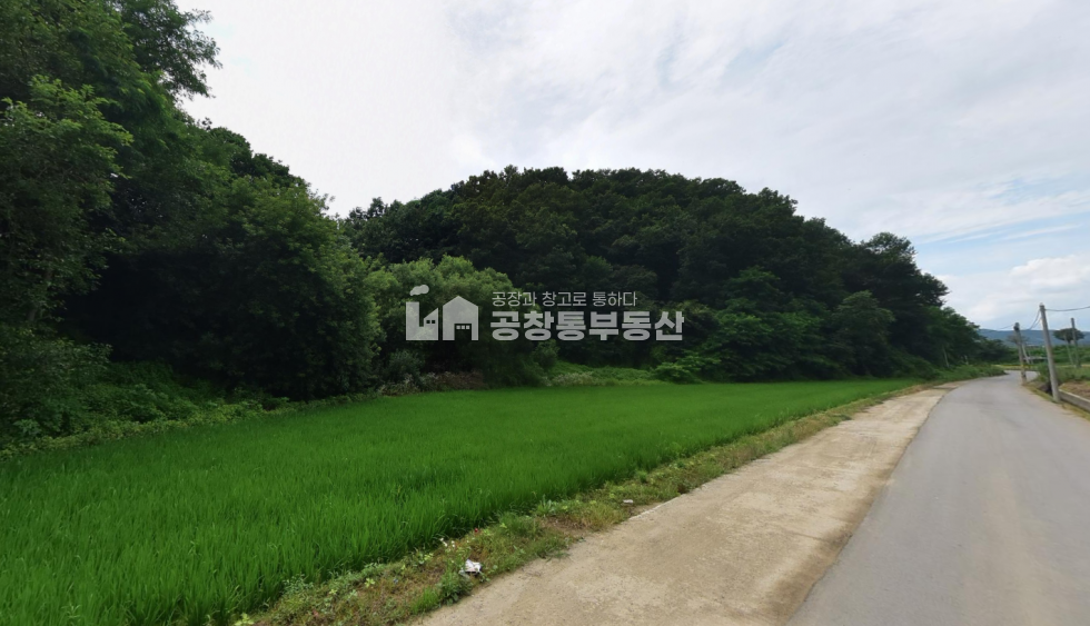 경기 파주시 탄현면 만우리 도로접 보전관리 농지 주택건축가능함 세컨하우스 귀농 매매 매물번호 10220 사진 2