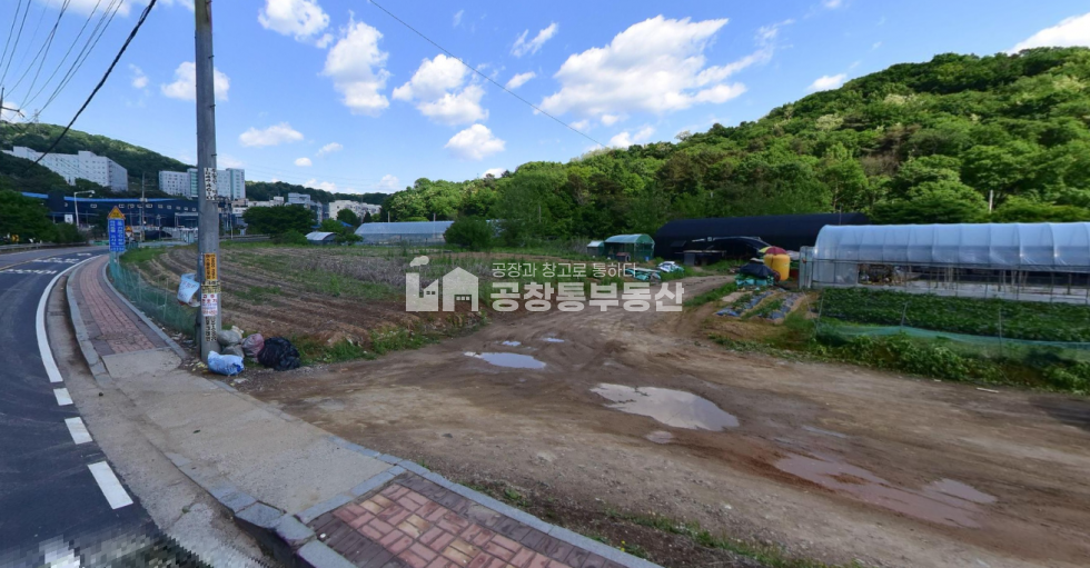 경기 고양덕양구 대자동 2차선접 자연녹지 전 평당100만원 급매 매매 매물번호 10225 사진 2