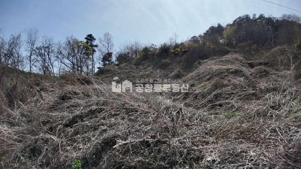 경기 파주시 탄현면 낙하리 [파주 낙하리 토지 매매] 낙하IC 바로앞 공장 8개동 허가 득 토지 매매 매물번호 10041 사진 1